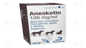 ALERTA VETERINARIA: ANESKETIN 100 MG/ML SOLUCION INYECTABLE PARA PERROS, GATOS Y CABALLOS